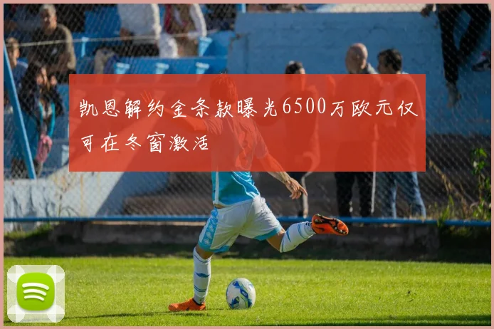 凯恩解约金条款曝光6500万欧元仅可在冬窗激活