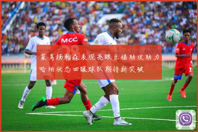 菜鸟杨瀚森表现亮眼乐福助攻助力哈珀状态回暖球队期待新突破