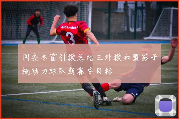 国安冬窗引援总结三外援加盟茹子楠助力球队新赛季目标